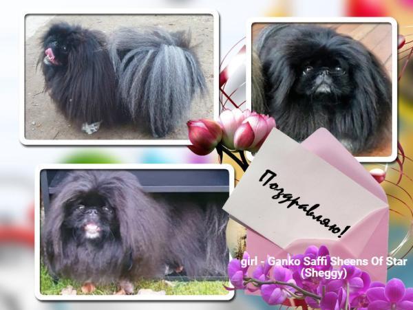 Прикрепленное изображение: post-1010-091170600 1722135775_thumb.jpg